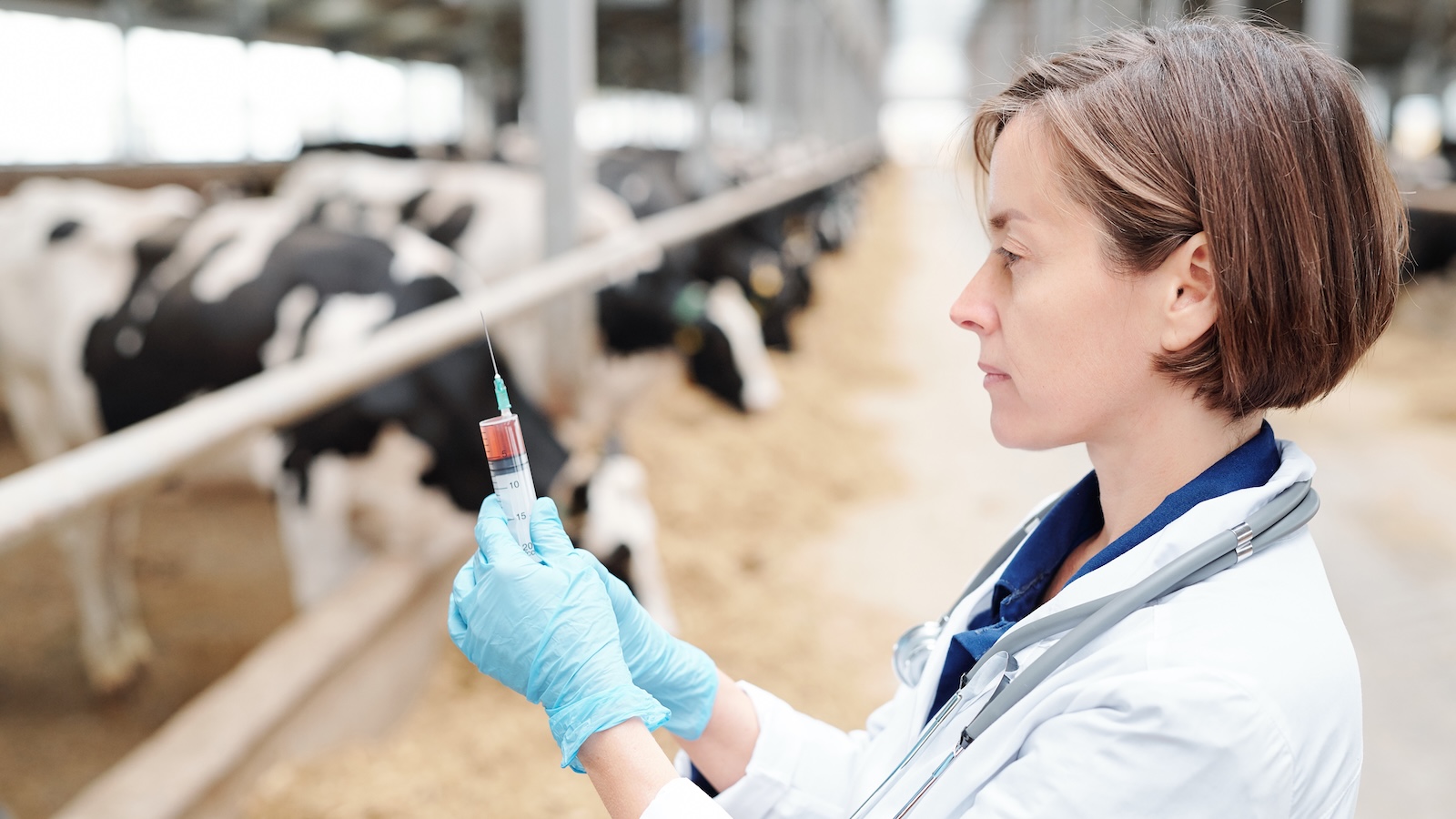Animal Science